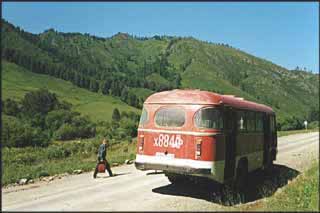 Bus