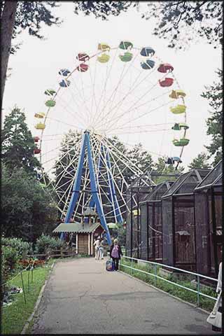 "Riesenrad" und Käfige