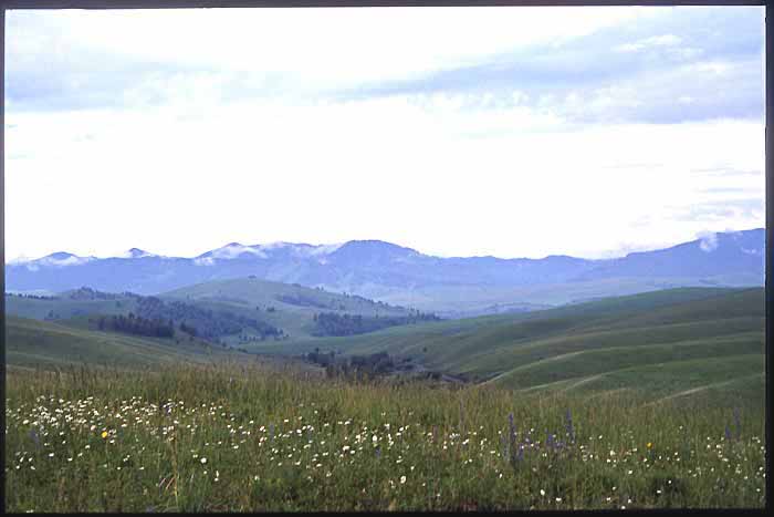 Landschaft bei Belokuricha
