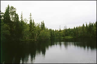 See 3
