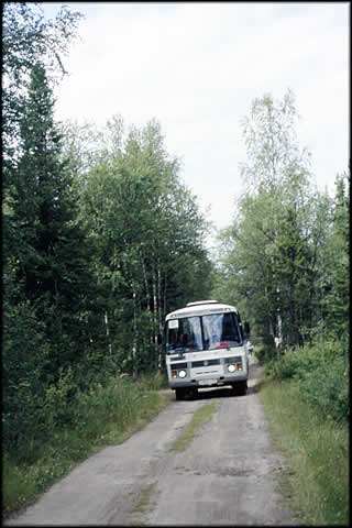 Bus