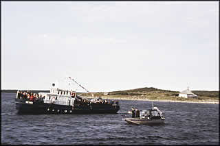 Marine