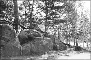 Landschaft